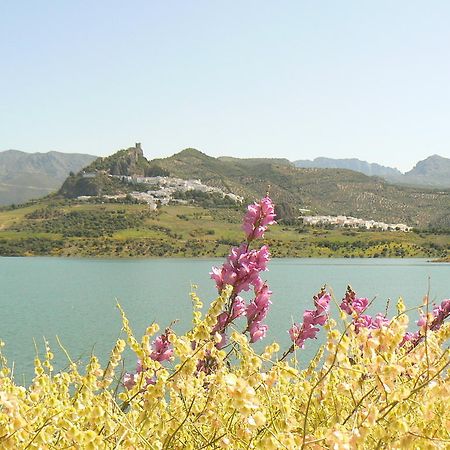 زاهارا دي لا سييرا Casa Rural-Apartamento El Lebrillero المظهر الخارجي الصورة